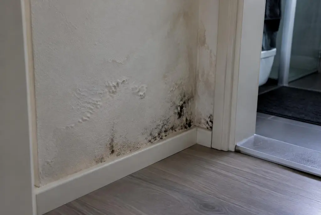Lekdetectie Hengelo – vochtplek met schimmel op een muur